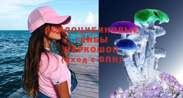 а пвп мука Абаза