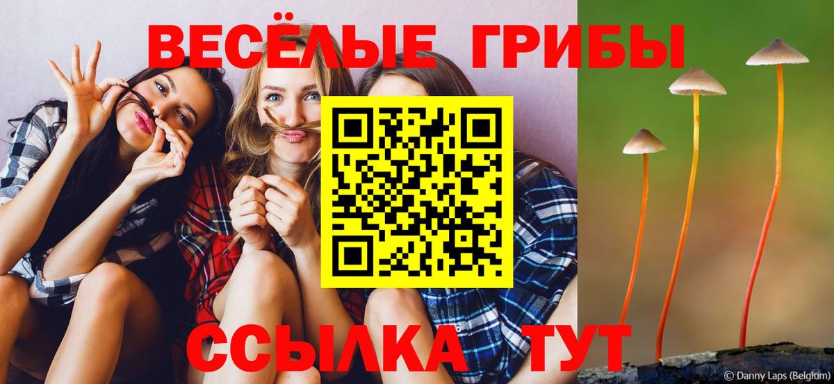Батайск  Псилоцибиновые грибы мухоморы  Вход с VPN 